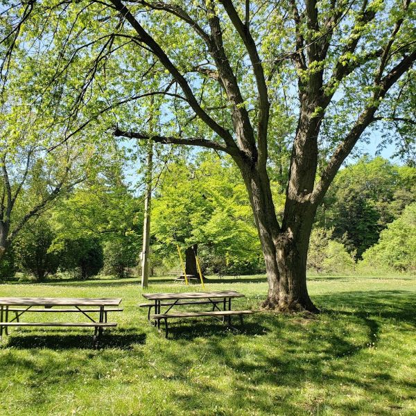 Tree-lined park in Woodbridge